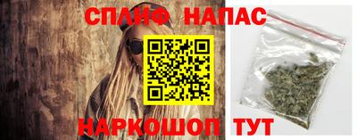 альфа пвп Волгодонск