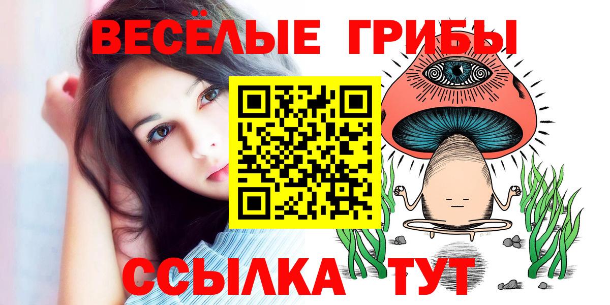 Псилоцибиновые грибы мухоморы  купить наркотик  Псилоцибиновые грибы GOLDEN TEACHER  Елабуга  Вход с VPN 