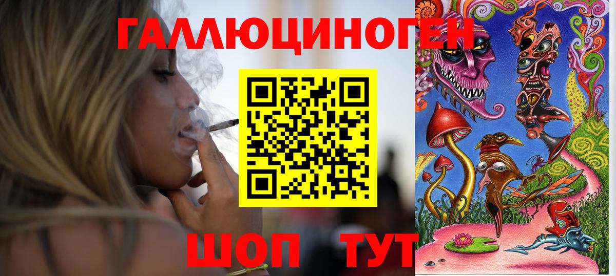 Псилоцибиновые грибы мицелий Елабуга