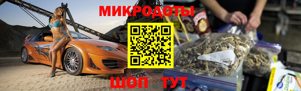 купить  цена  Елабуга  Галлюциногенные грибы Psilocybe 