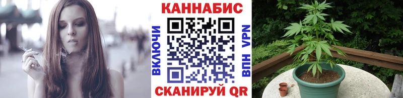 закладка  Елабуга  Бошки Шишки AK-47 